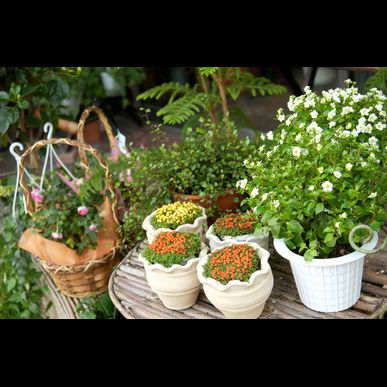 静岡市でお庭のリフォーム工事なら株式会社 伸テック